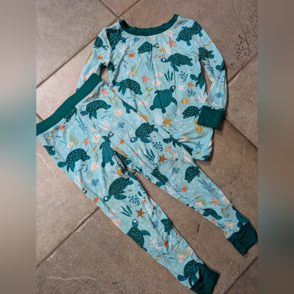 Little sleepies Turtle Pajamas